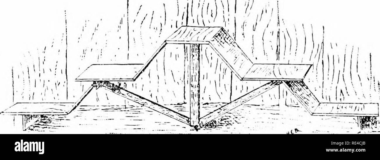 simple pigeon loft designs drawings