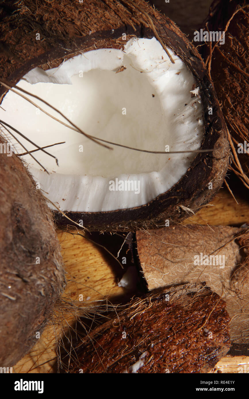 coconut shell and flesh Cocos nucifera Stock Photo