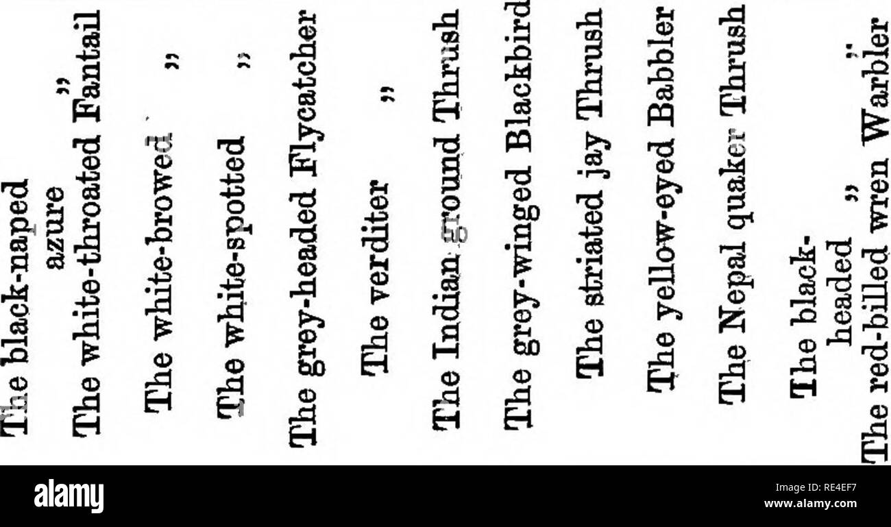 Page 463 N A R T High Resolution Stock Photography And Images Alamy