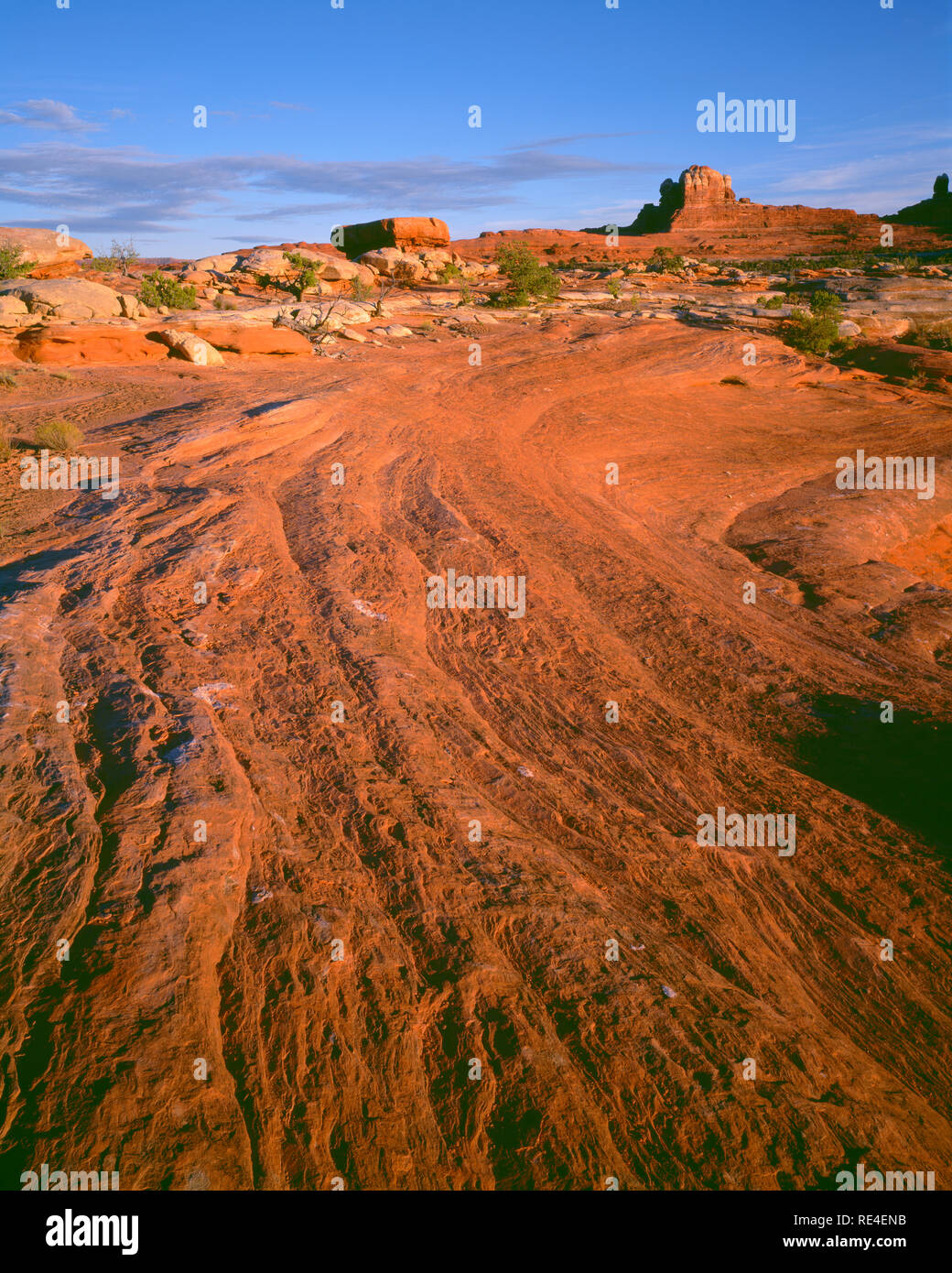 USA, Utah, Canyonlands National Park, Pattern in slickrock leads