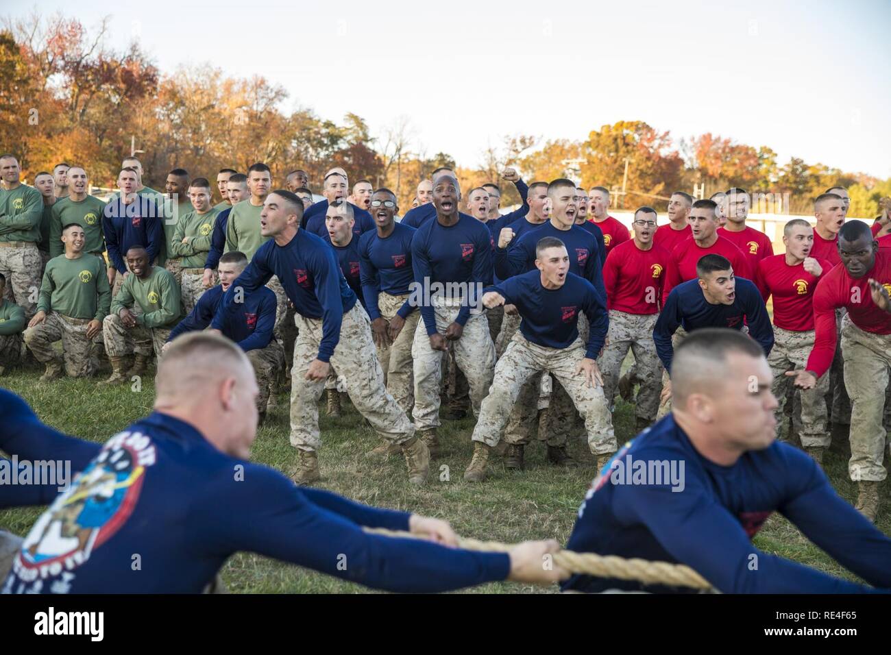 U.S. Marines with the Officer Candidate School (OCS) cheer on their teammates in a tug-o-war field meet event at OCS, Marine Corps Base Quantico, Va., Nov. 17, 2016. The purpose of the meet was to promote camaraderie and espirit de corps. Stock Photo
