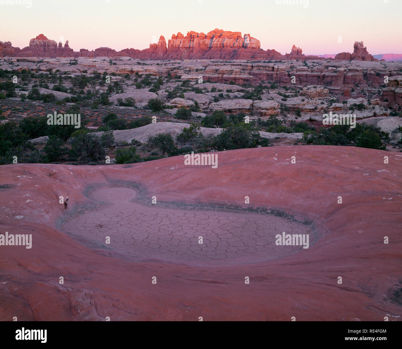 USA, Utah, Canyonlands National Park, Sunrise on distant sandstone towers; from Big Spring Canyon in the Needles District. Stock Photo