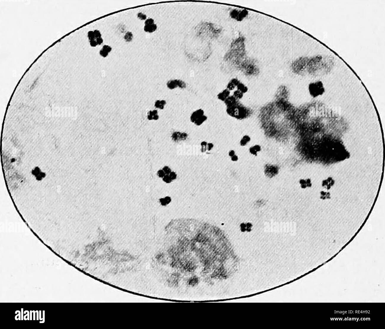 . and disease. An introduction to the study of specific