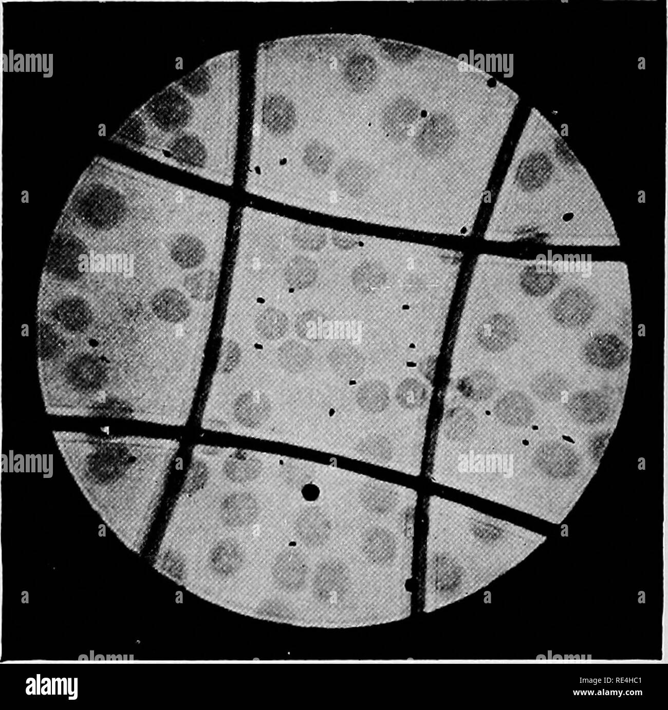 . A text-book upon the pathogenic Bacteria and Protozoa for students of