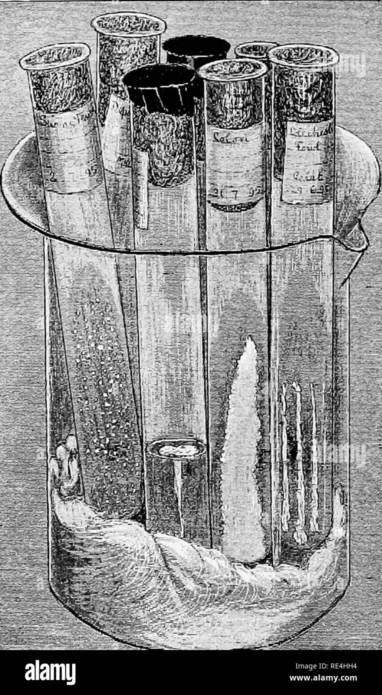 Test tube holder Black and White Stock Photos & Images - Alamy