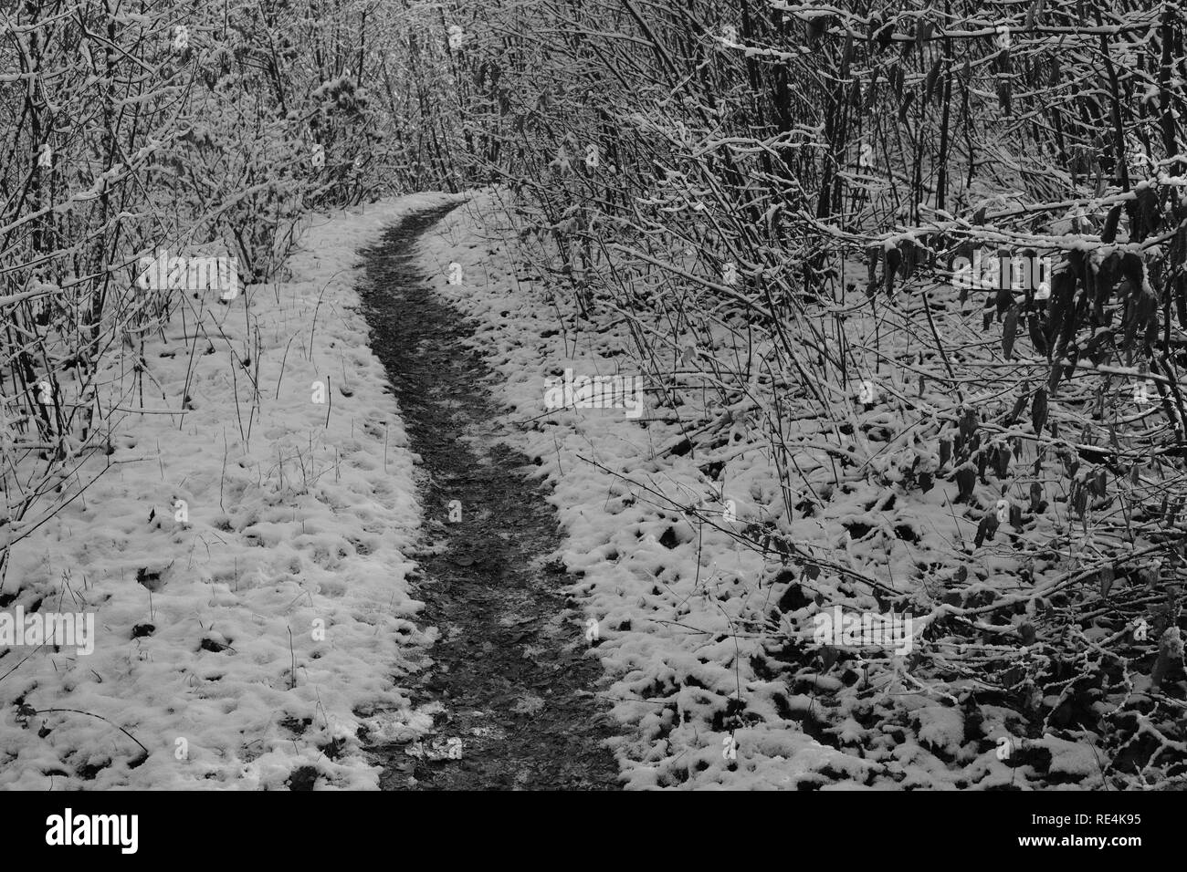Snow and winter season in Germany, Siegerland Stock Photo Alamy