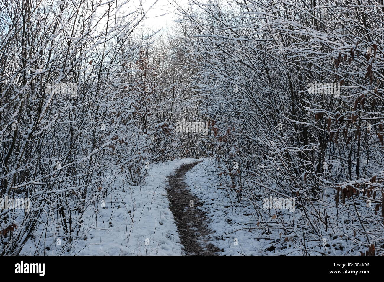 Snow and winter season in Germany, Siegerland Stock Photo Alamy