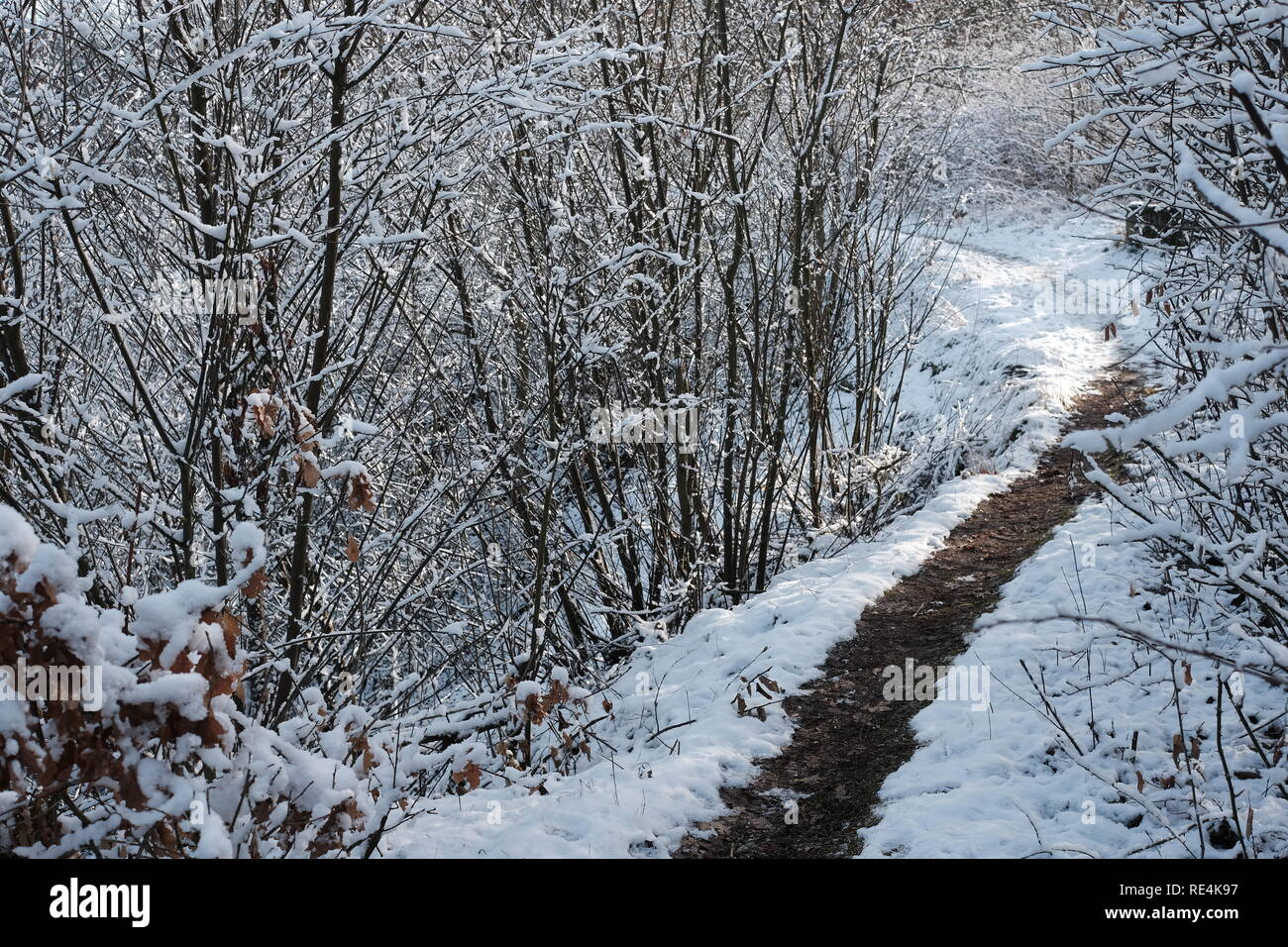 Snow and winter season in Germany, Siegerland Stock Photo Alamy