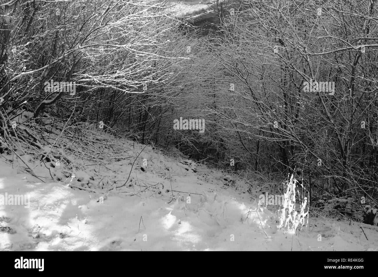 Snow and winter season in Germany, Siegerland Stock Photo Alamy