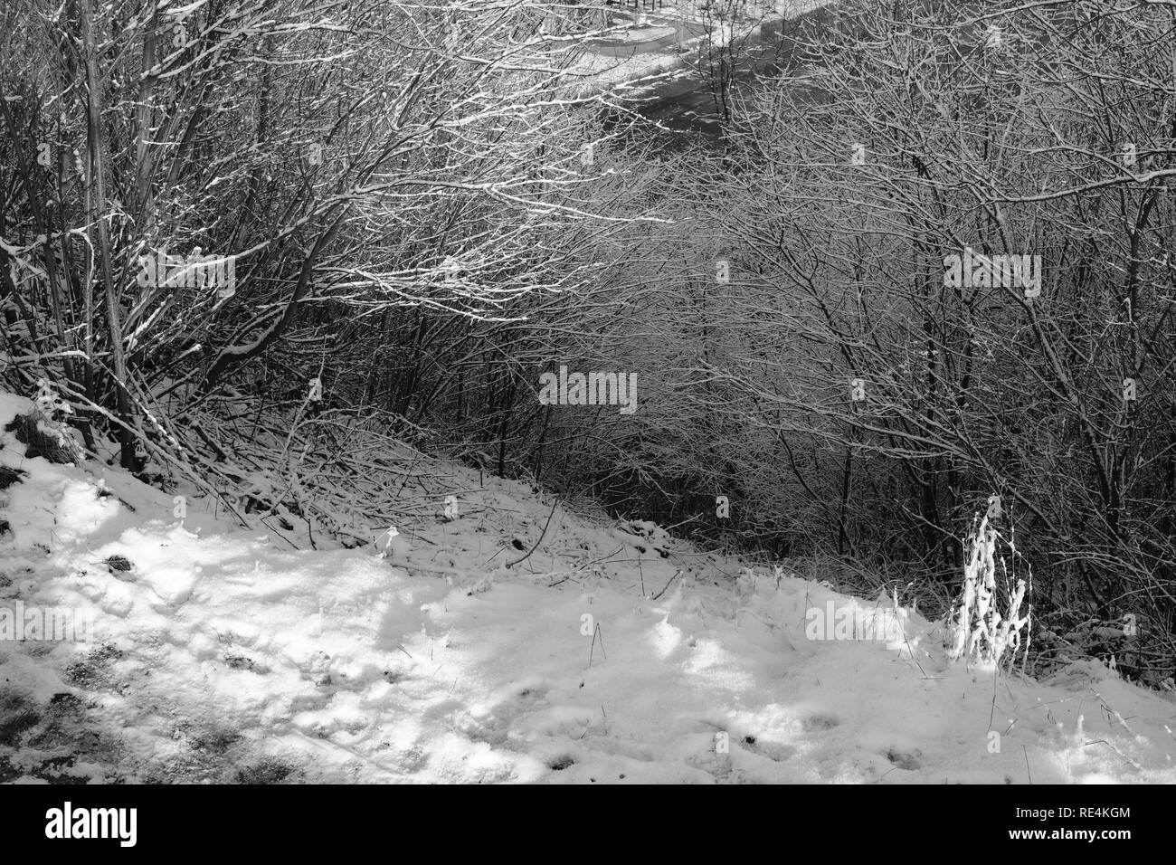 Snow and winter season in Germany, Siegerland Stock Photo Alamy