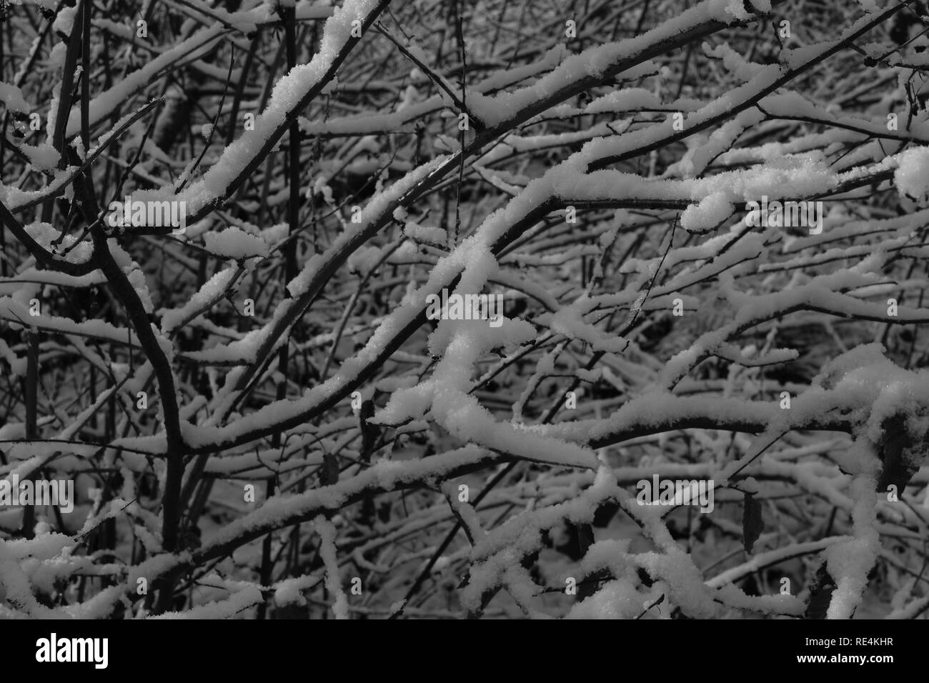 Snow and winter season in Germany, Siegerland Stock Photo Alamy