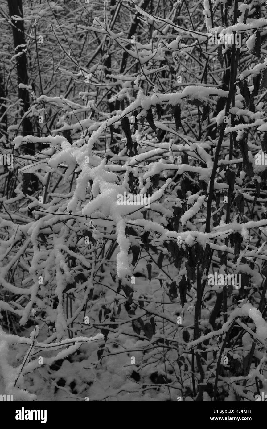 Snow and winter season in Germany, Siegerland Stock Photo Alamy