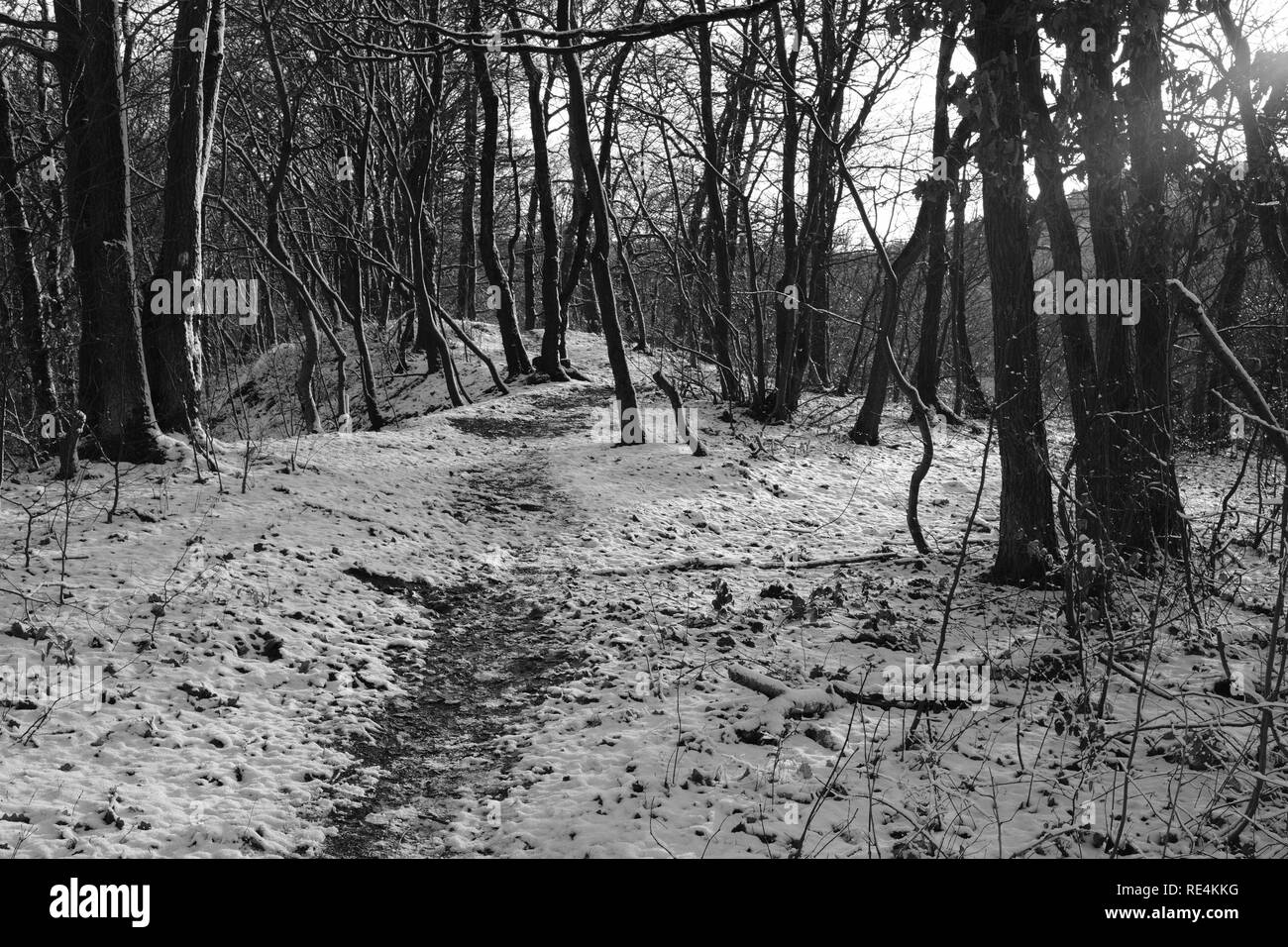 Snow and winter season in Germany, Siegerland Stock Photo Alamy