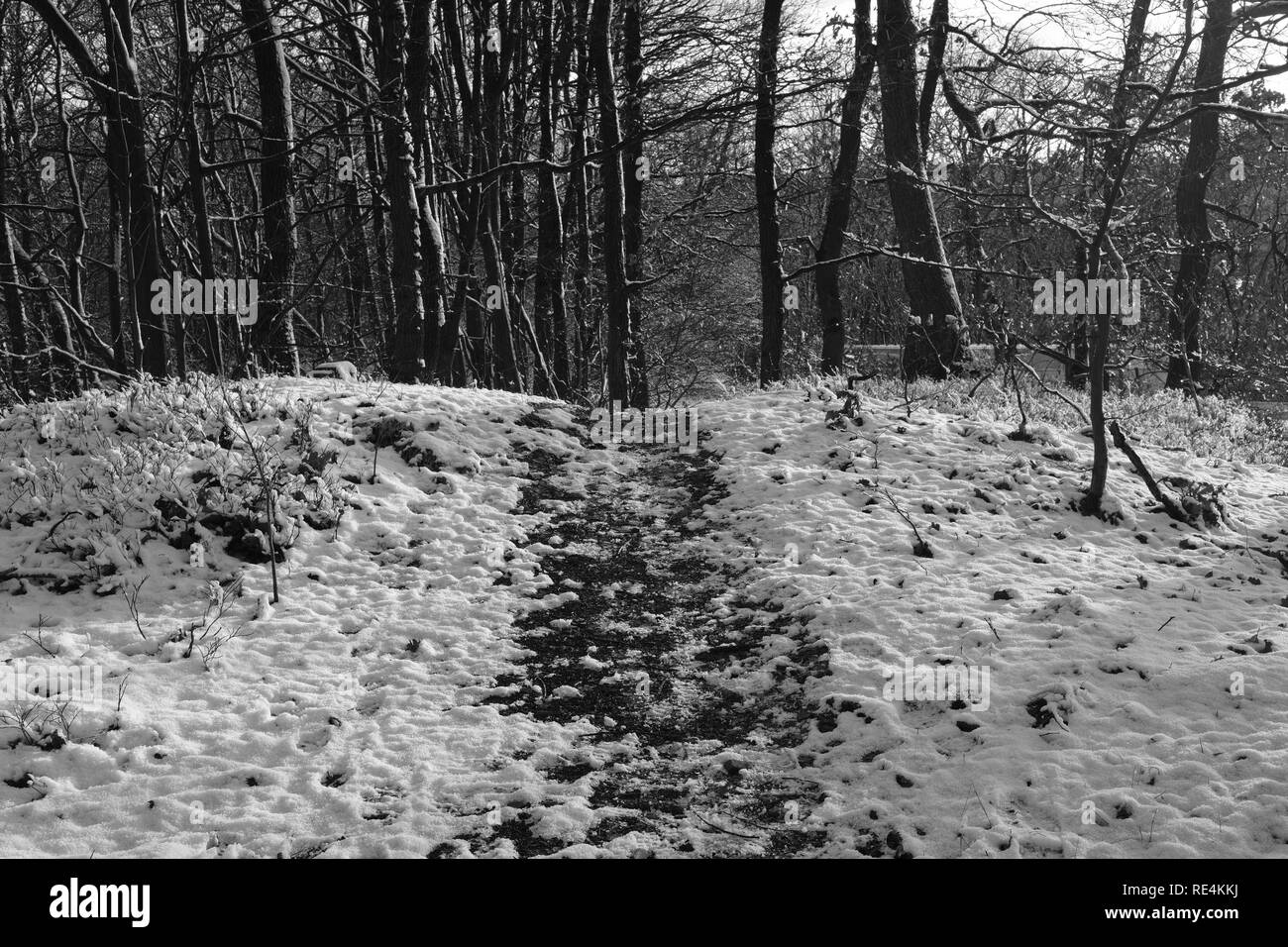 Snow and winter season in Germany, Siegerland Stock Photo Alamy
