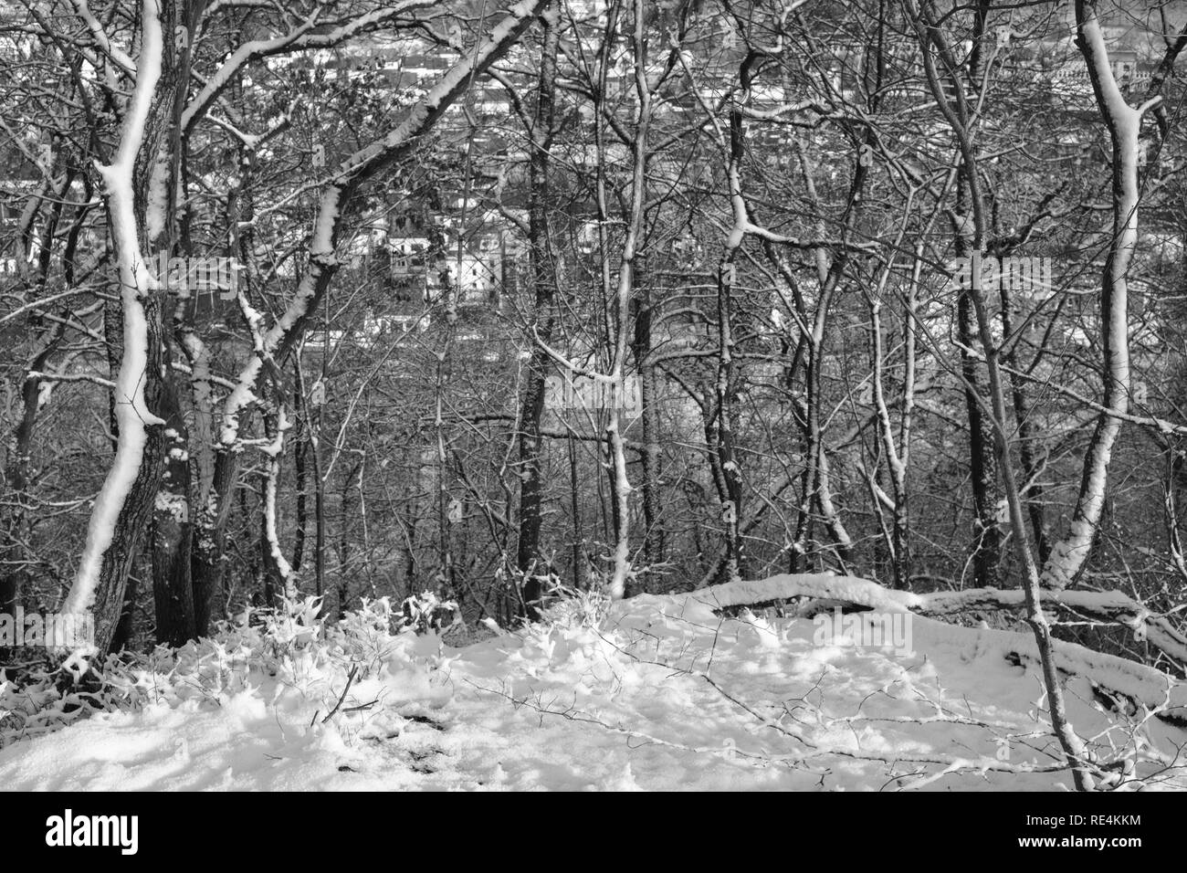 Snow and winter season in Germany, Siegerland Stock Photo Alamy