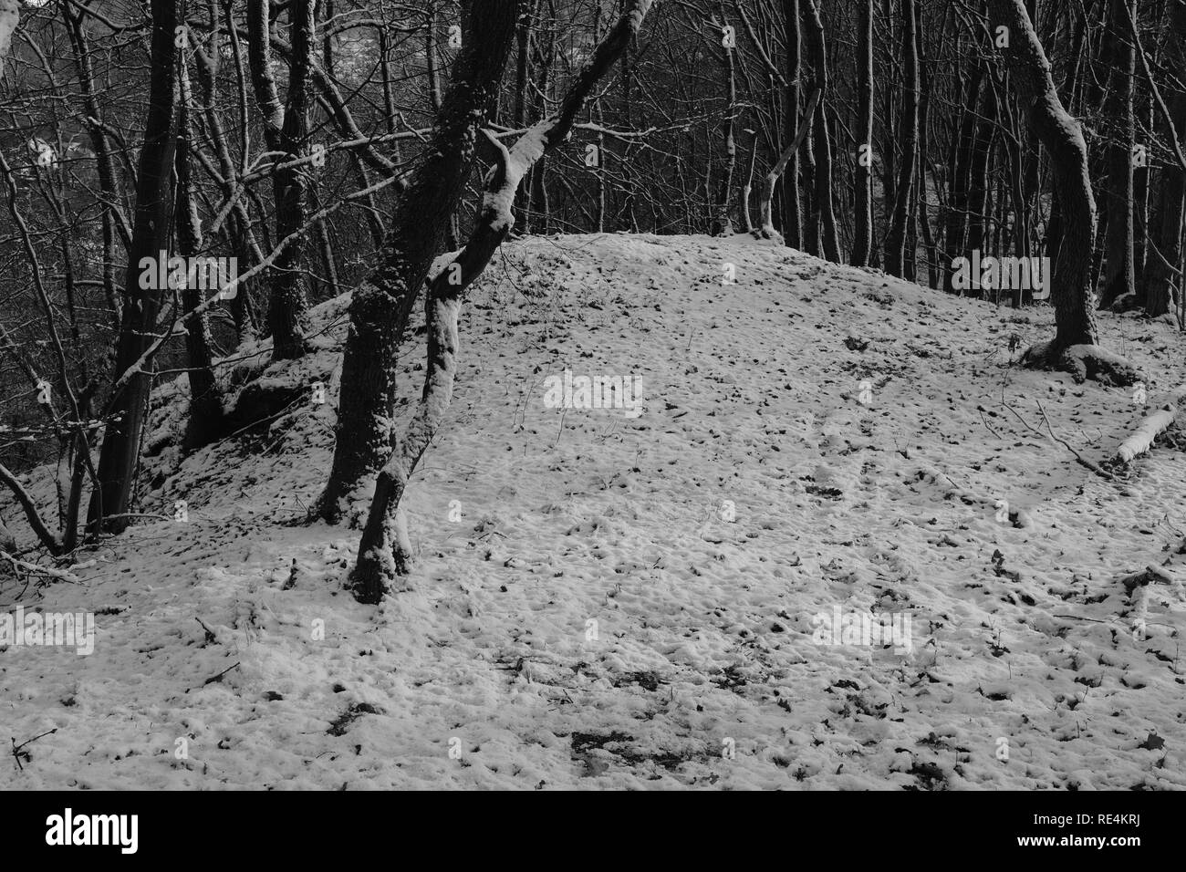 Snow and winter season in Germany, Siegerland Stock Photo Alamy