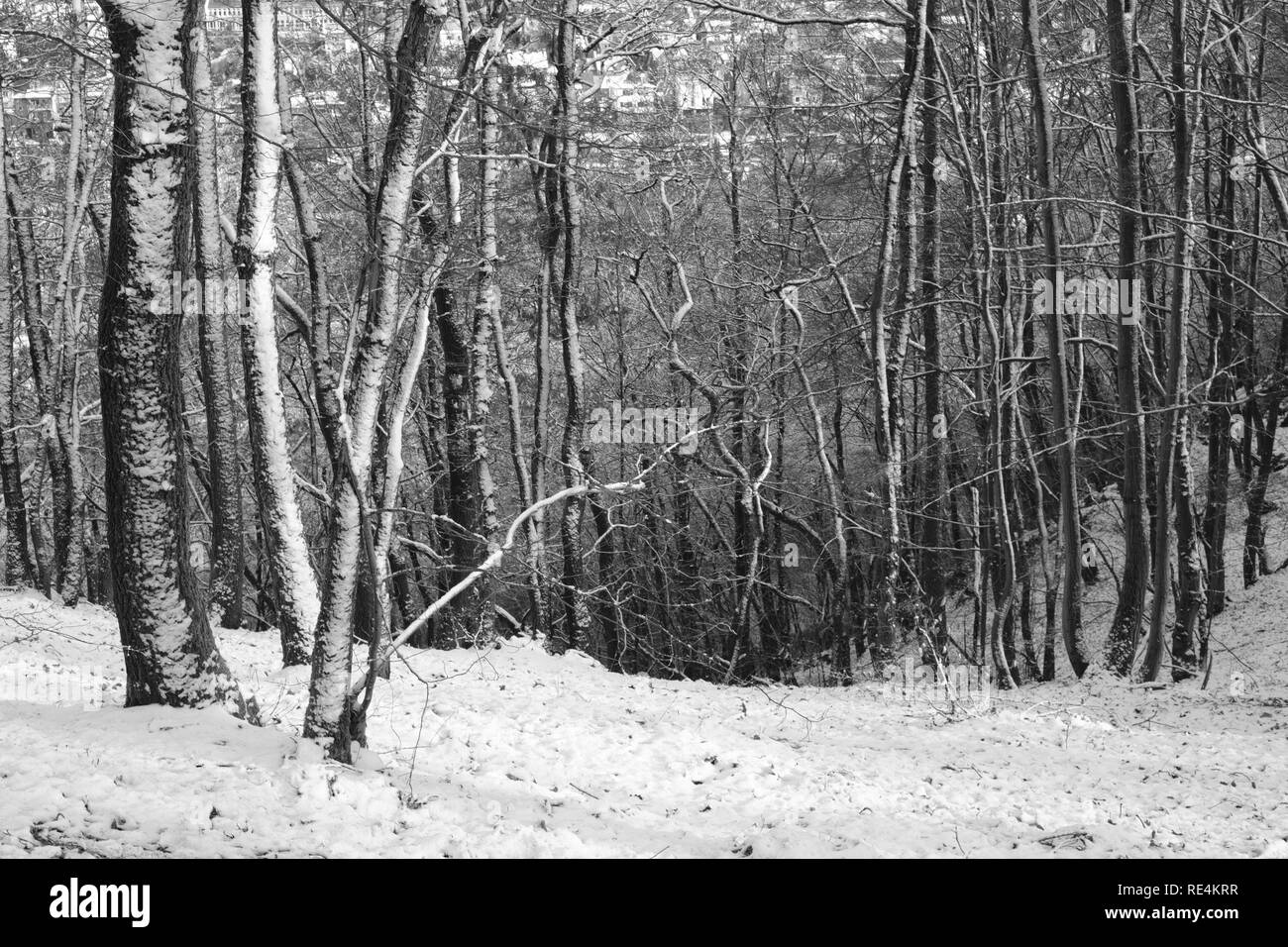 Snow and winter season in Germany, Siegerland Stock Photo Alamy