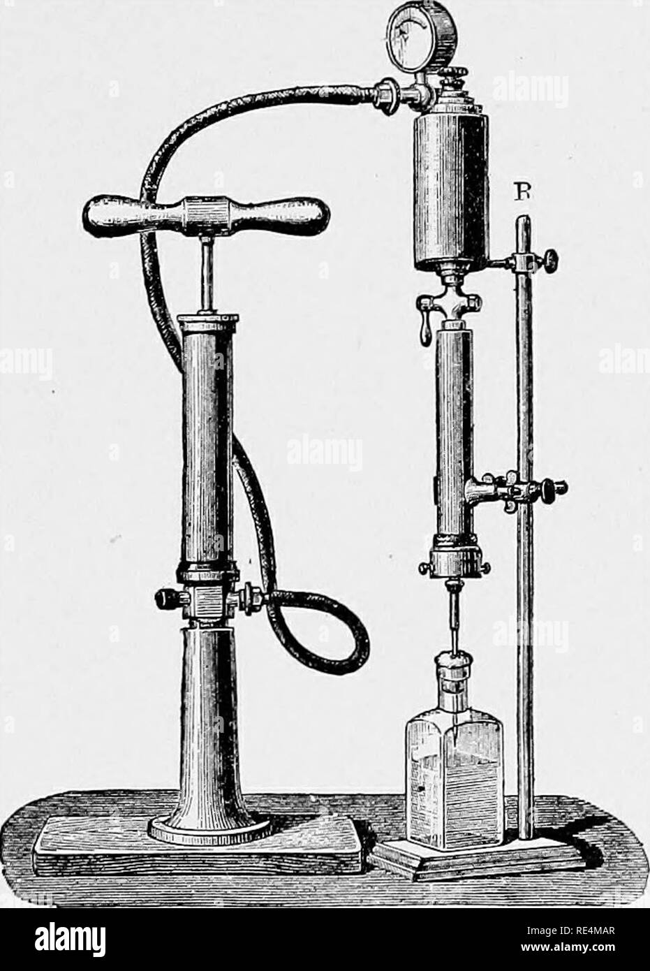 . A text-book of bacteriology. Bacteriology. STERILIZATION OF CULTURE MEDIA. 61 receptacle, R, is provided for the liquid to be filtered, and a pump for compressing air is attached to it by a rubber tube. Instead of this pump, water pressure may be used indirectly by attaching a strong bottle to the water supply and allowing it to fill slowly with water, and at the same time to force out the air through a tube connected with the filtering apparatus. For this purpose the bottle, having a capacity of a quart or more, should be provided with a rubber stop- per through which two short tubes are pa Stock Photo