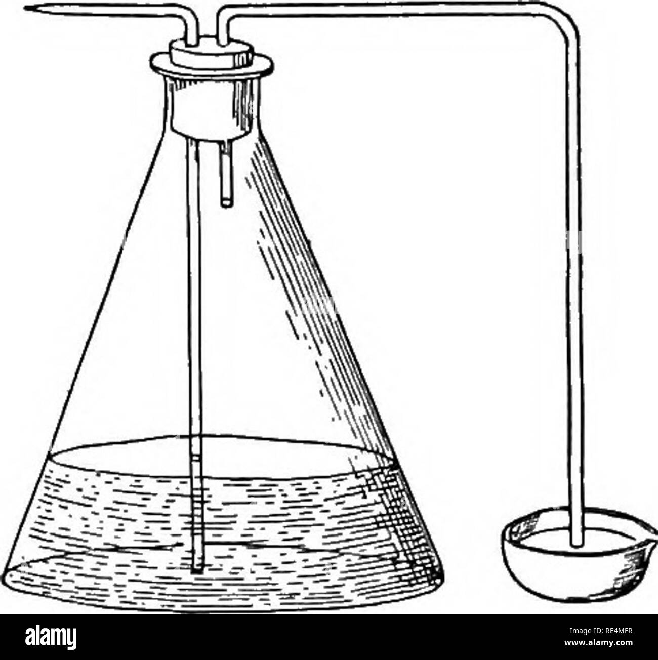 Manual of bacteriology. Bacteriology. 64 METHODS OF CULTIVATION OF 