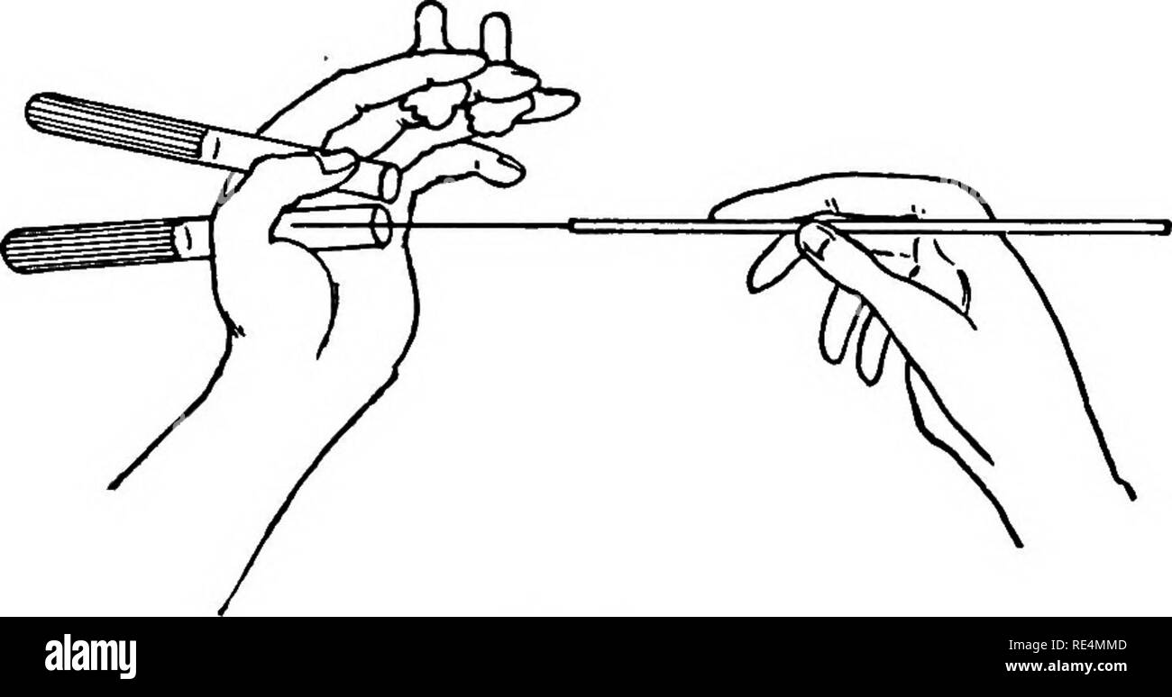 . A laboratory guide in bacteriology, for the use of students, teachers