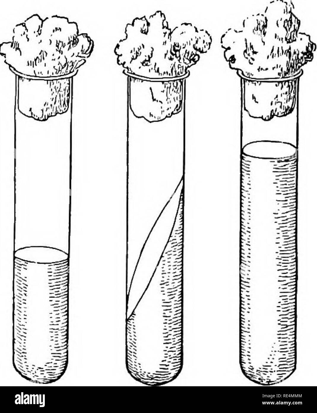 . Manual of bacteriology. Bacteriology. of the contents may be