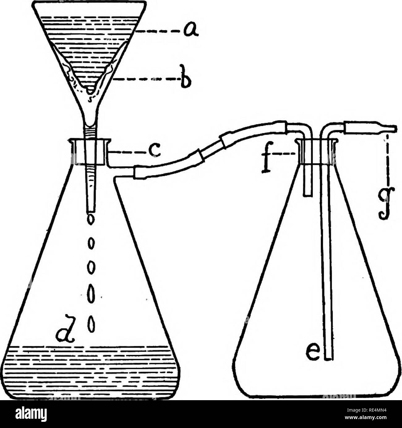 . A laboratory guide in bacteriology, for the use of students, teachers and practitioners. Bacteriology. BACTERIOLOGICAL TECHNIC 25 The basket which is to receive the tubes after fiUing should be placed in an inclined position, as this faciU- tates the proper arrangement of the tubes. In filling the tubes the pipette at the end of the rubber hose. Fig. 14 Filtering Media by Means of Vacuum Pump a. Liquid medium e. Reflux flask 6. Absorbent cotton /. Rubber stopper with two holes c. Rubber stopper g. Connection with aspirator d. Filtered medium should be inserted to a depth of at least two inch Stock Photo