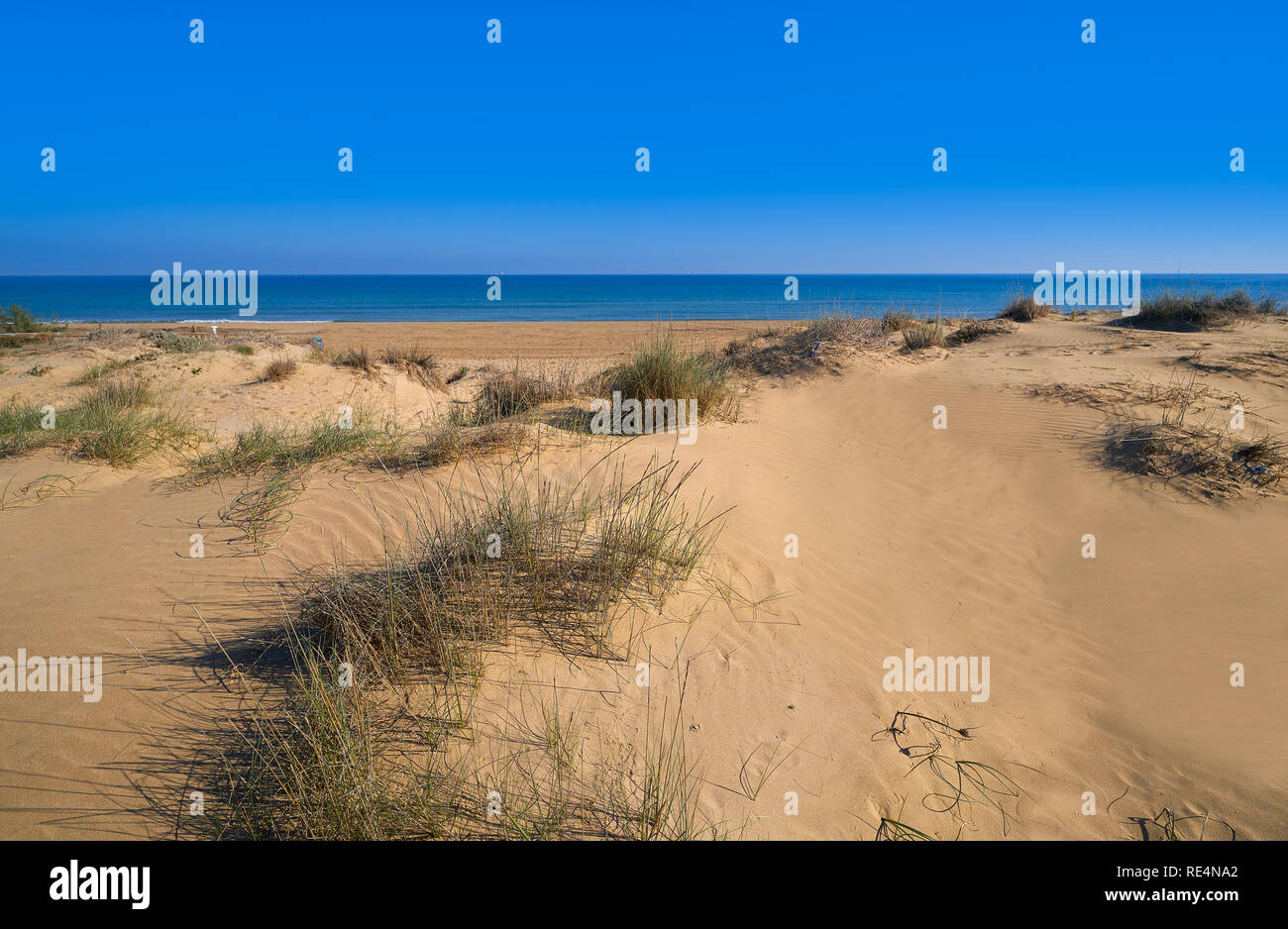 El Carabassi beach dunes in Elx Elche of Alicante in Spain at Costa Blanca also Carabasi Stock Photo