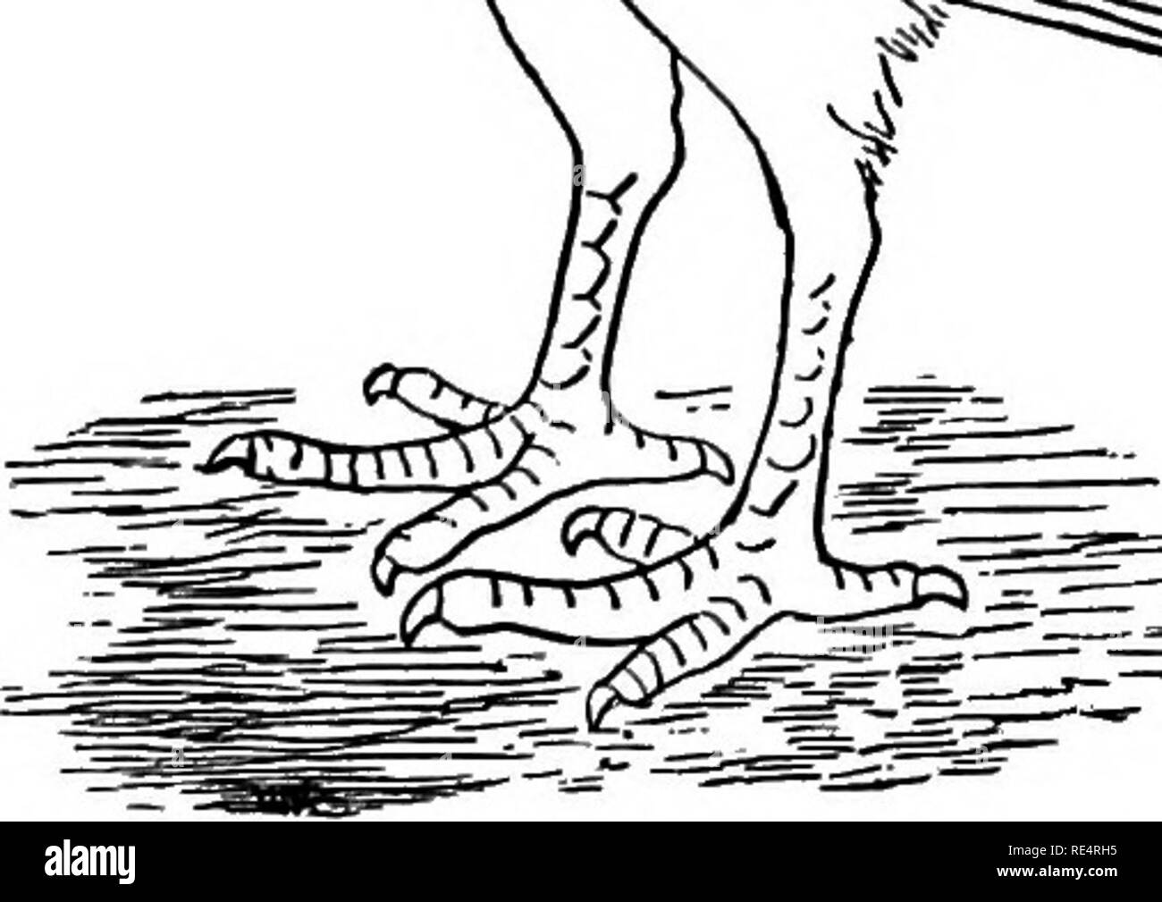 Cà Lunae (2026) - All You Need to Know BEFORE You Go (with Reviews), image size:1300x1009