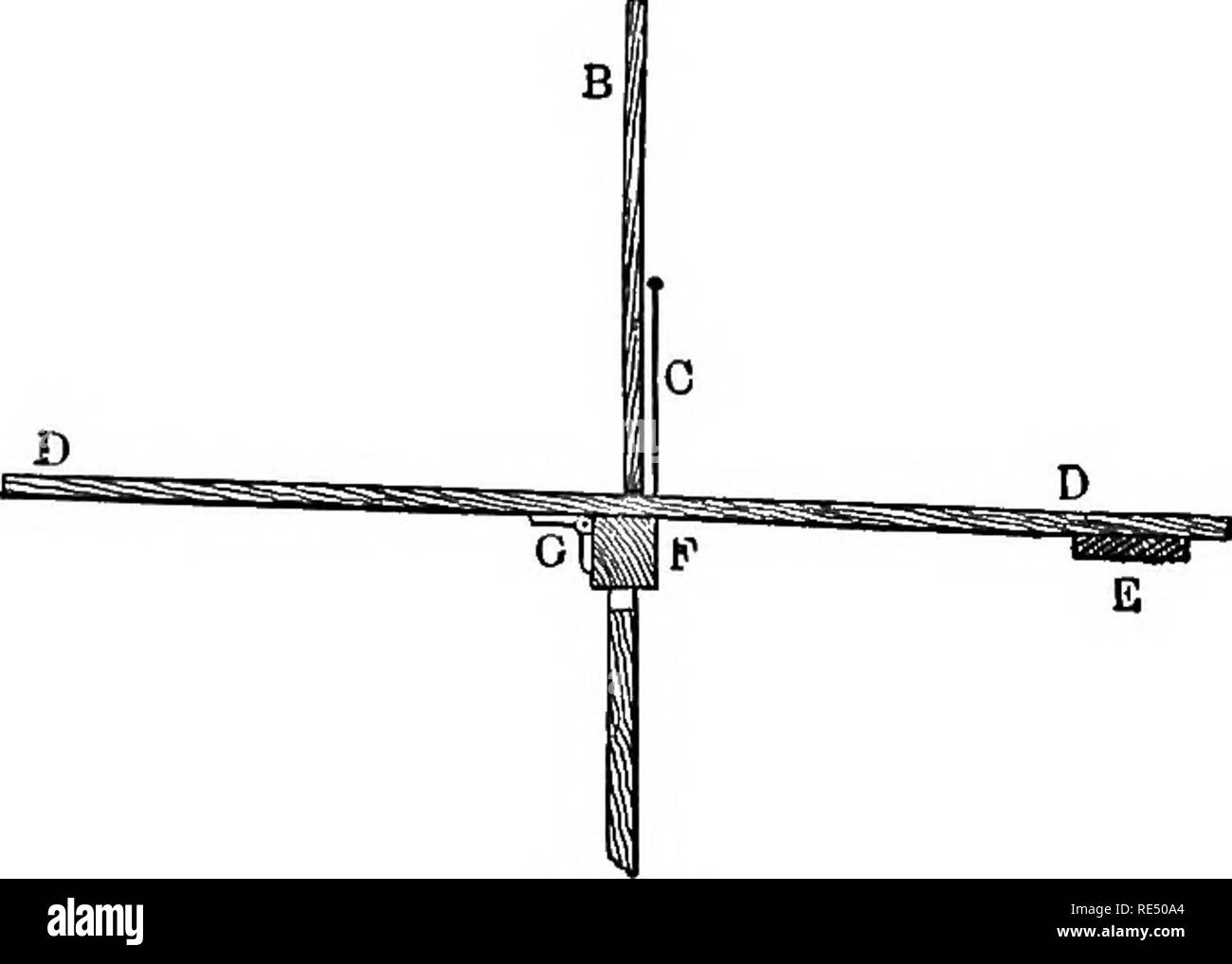 . The practical pigeon keeper. Pigeons. AEEA AND BOLTING WIRES. 213 on