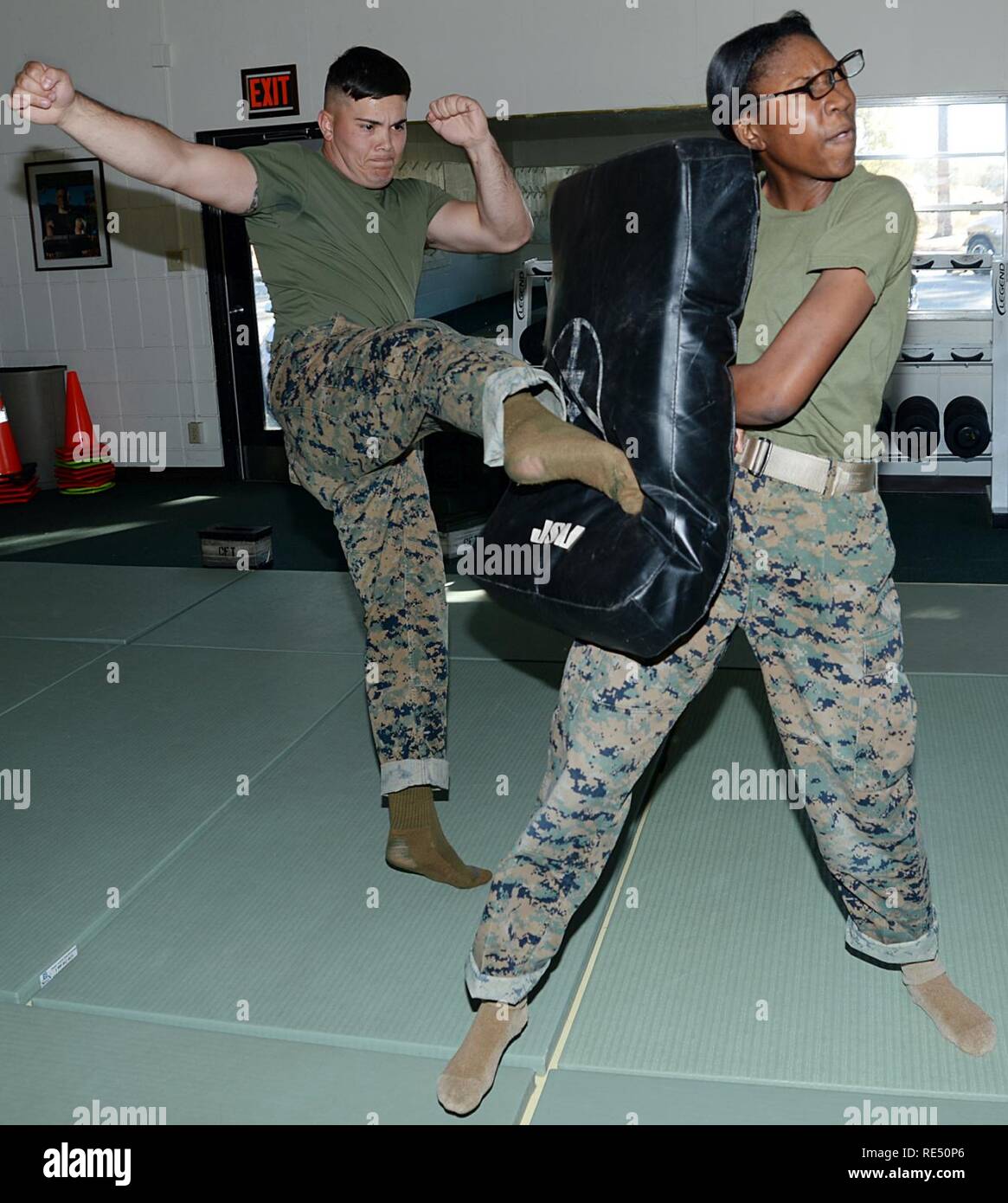 Lance Cpl. Darin Brooks, Marine Corps Martial Arts Program student, Marine Corps Logistics Base Albany, performs a roundhouse kick while Pfc. Mykerria Johnson, MCMAP student, holds a training pad during a training session at the Dojo aboard the installation, Nov. 21. Stock Photo