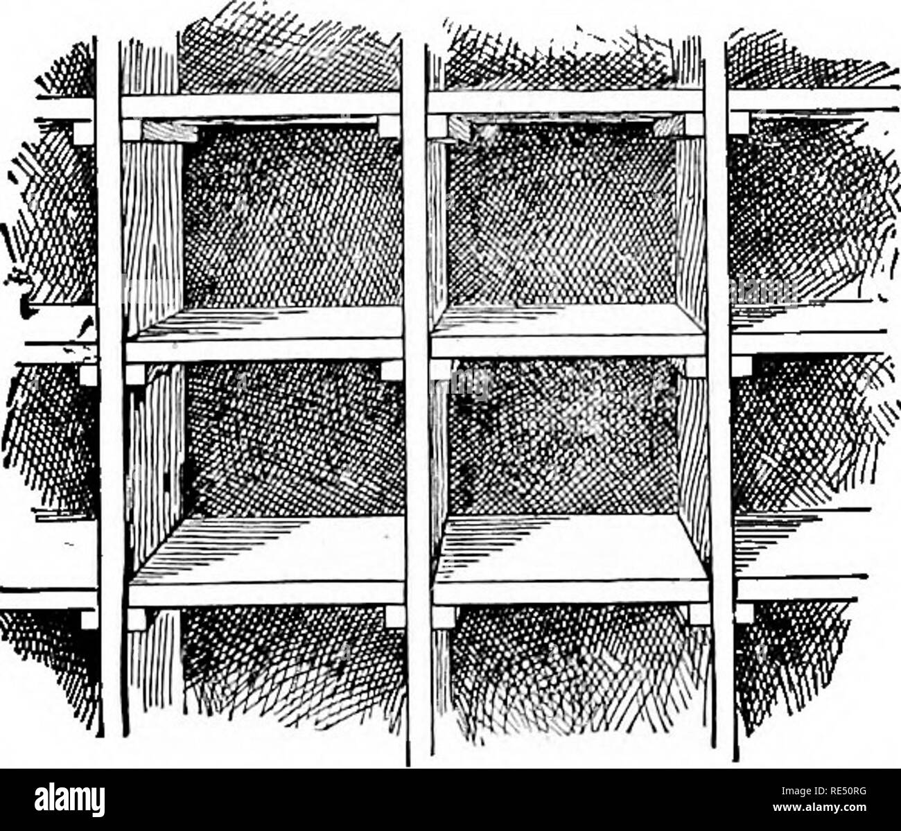 The National Standard Squab Book Pigeons 118 National Standard