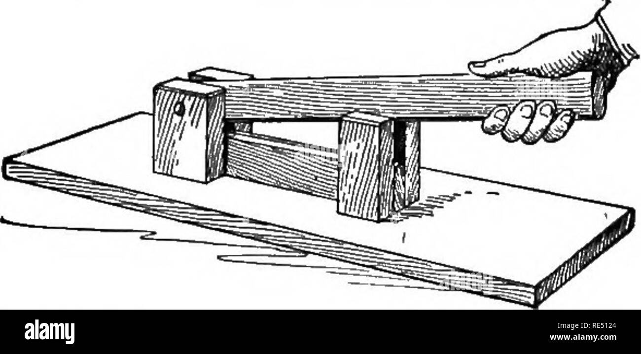 . The national standard squab book. Pigeons. SUPPLEMENT 115 not be sharp so as to cut the flesh, but should be rounding, and slightly flat at the points of contact. The base-board is made of three-quarters or one-inch lumber, twenty inches long and seven inches wide. The upper arm (or lever) is of half-inch stock, one and three-quarters. inches wide and fifteen inches long. The lower arm is of half-inch stock one and three- quarters inches wide and eight and one-half inches long. The two upright pieces in front, nearest the hand of the operator, are each of seven-eighths or inch stock, one and Stock Photo
