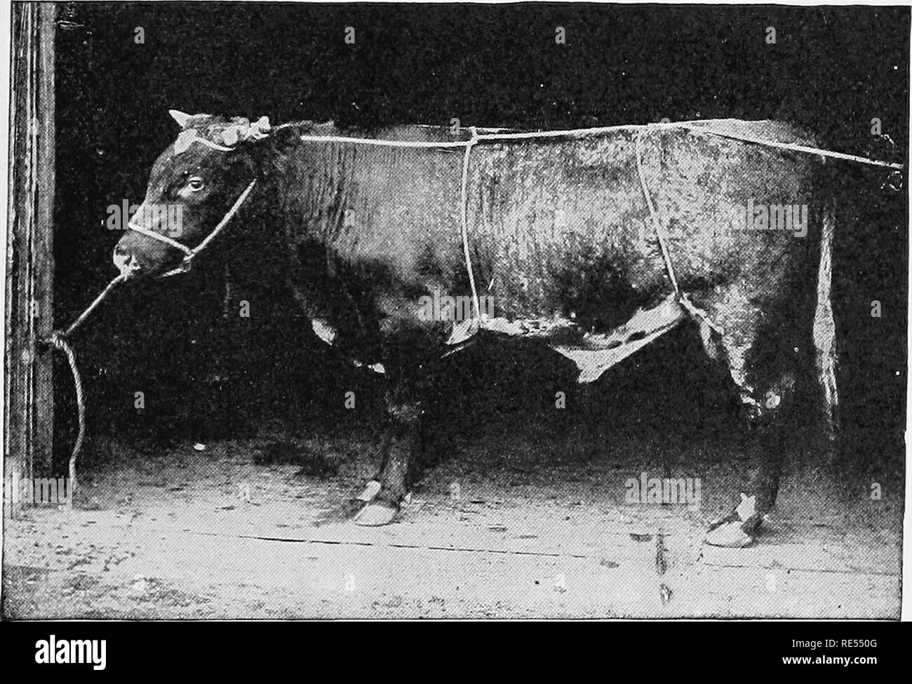 . Veterinary studies for agricultural students. Veterinary medicine ...