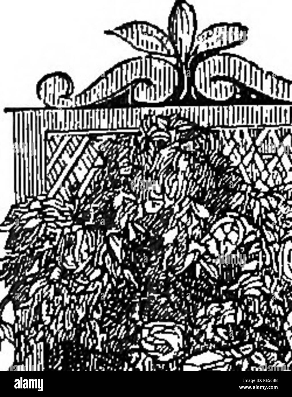 Front yard gardens Black and White Stock Photos & Images Alamy