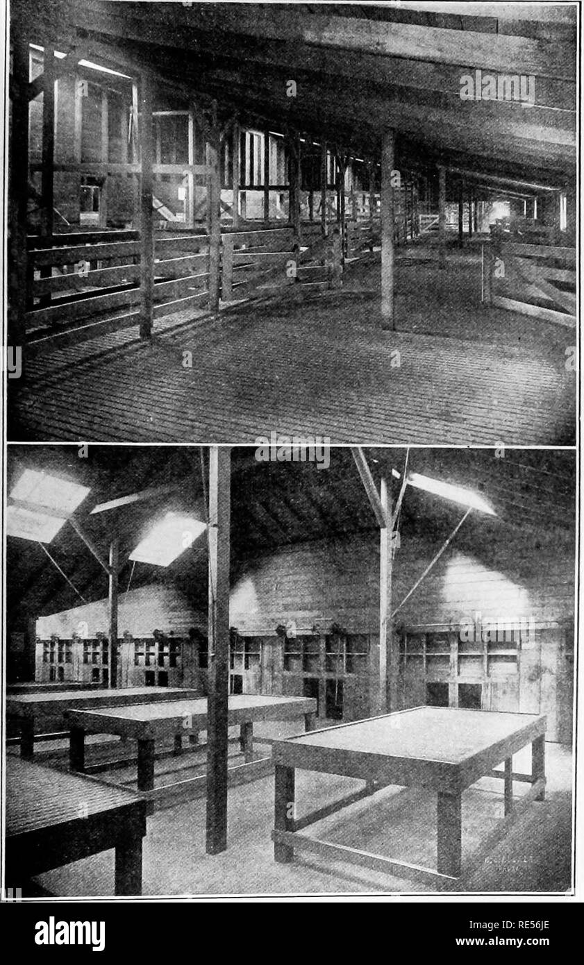 Slatted gates Black and White Stock Photos & Images Alamy