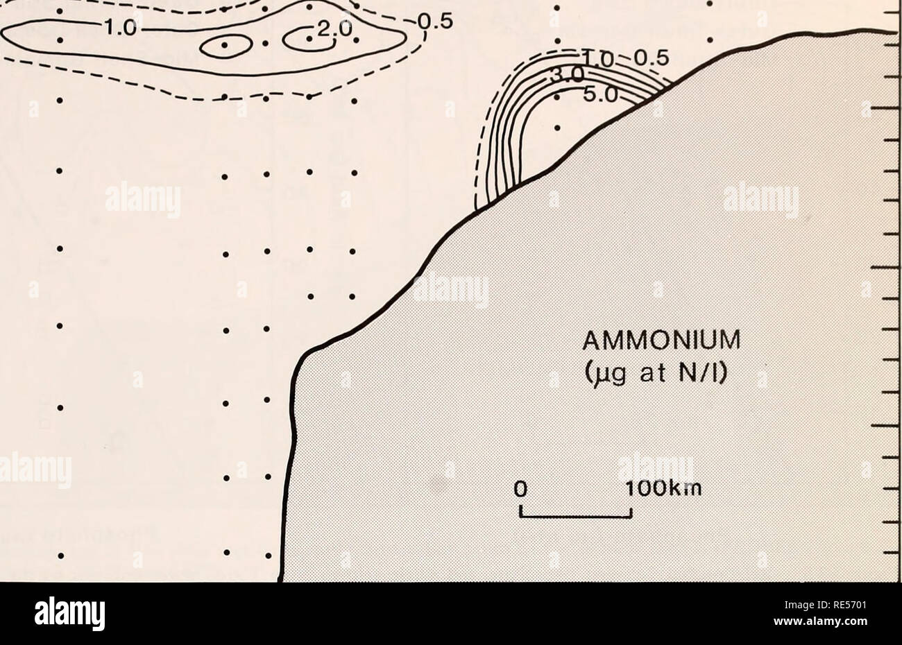 . The Eastern Bering Sea Shelf : oceanography and resources / edited by Donald W. Hood and John A. Calder. Oceanography Bering Sea.. Nutrient distributions and dynamics 981 Station q 0 — V. 50 E &gt;-• I h- CL m Q 100 150 — b 200 8 9 10 11 J I I L 13 T 14  l . AMMONIUM (;ig at N/l) 100km -J Figure 58-5. Ammonium (/ig at N/l) cross section in the eastern Bering Sea along a transect extending from 56° 59 N- 177°0l'W to 61°00'N-169°00 W (Hakuho Maru KH-78-3 cruise, Hattori 1979). of ammonium roughly coincides with the depth of 0.5 percent light penetration, and also with the depth at which concen Stock Photo