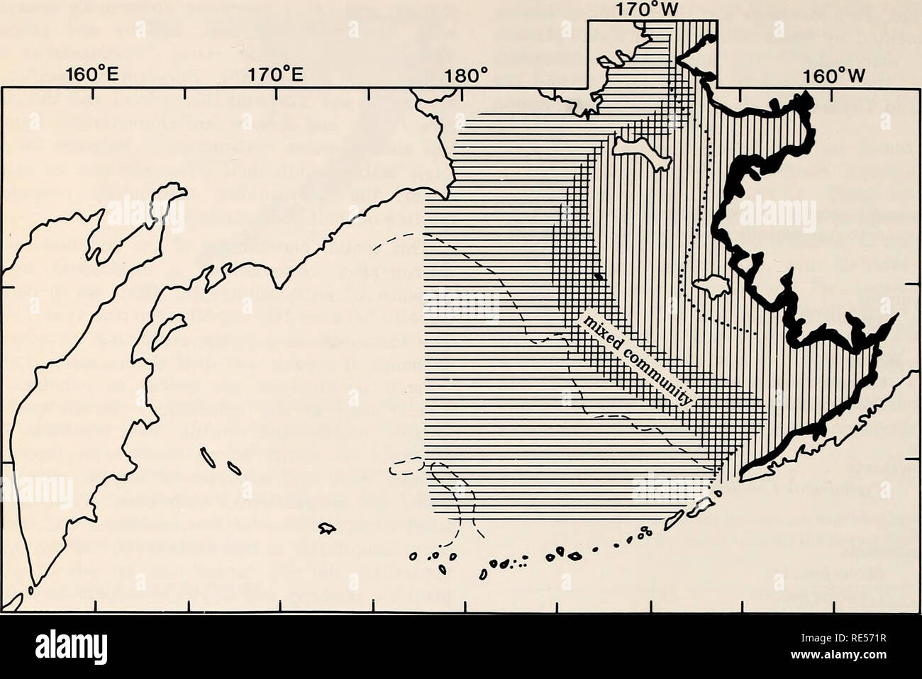 . The Eastern Bering Sea Shelf : oceanography and resources / edited by Donald W. Hood and John A. Calder. Oceanography Bering Sea.. 952 Plankton ecology. - 60° N - 50° N ZOOPLANKTON AND MICRONEKTON COMMUNITIES Oceanic and Outer-Shelf Community Calanus cristatus C. plumchrus Eucalanus bungii bungii Metridia pacifica Pseudocalanus spp. Oithona similis Parathemisto pacifica Thysanoessa longipes T. inermis Eukrohnia hamata Sagitta elegans Middle-Shelf and Coastal Community Pseudocalanus spp. Acartia longiremis Oithona similis Calanus glacialis C. marshallae Parathemisto libellula Thysanoessa rasc Stock Photo