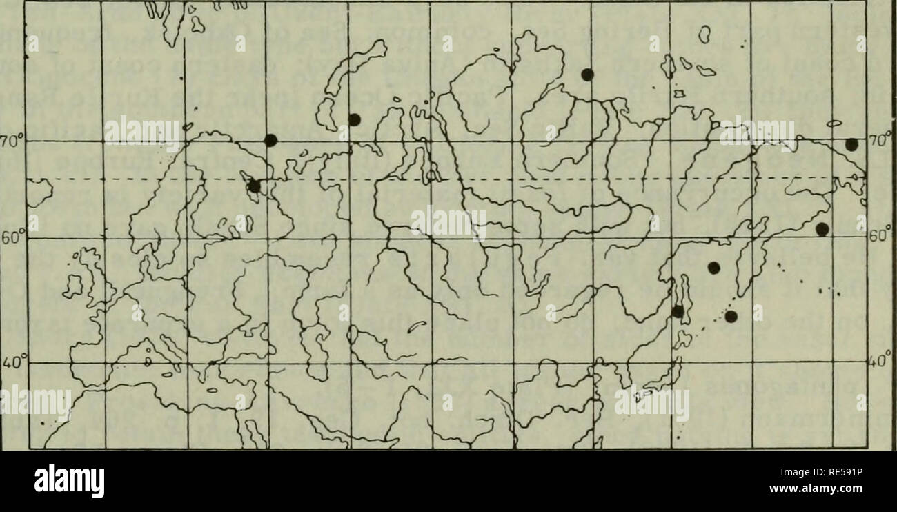 Cryptogamic Plants Of The USSR Flora Sporovykh Rastenii SSSR cryptogamic-plants-of-the-ussr-flora-sporovykh-rastenii-sssr