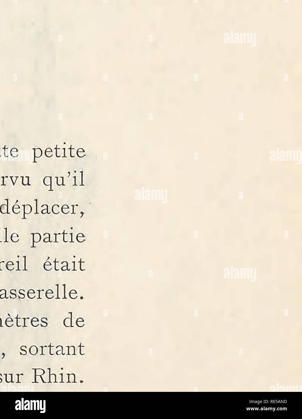 brassière taille forte