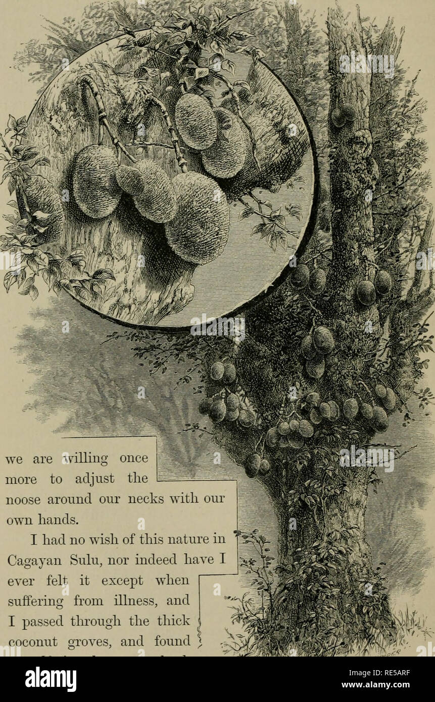 The Cruise Of The Marchesa To Kamschatka Amp New Guinea With Notices Of Formosa Liu Kiu And Various Islands Of The Malay Archipelago Marchesa Schooner Yacht Natural History Natural History Cag