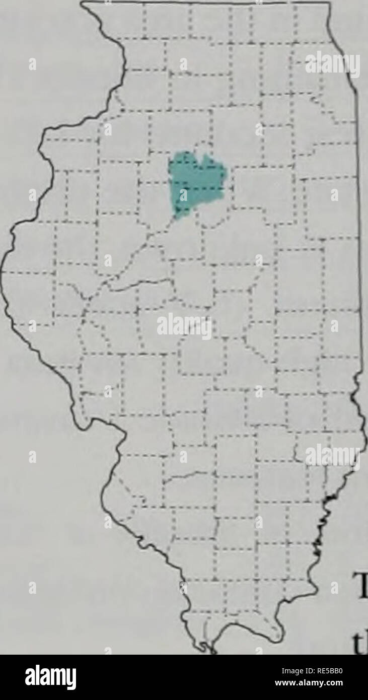 . Critical trends in Illinois ecosystems. Ecological assessment