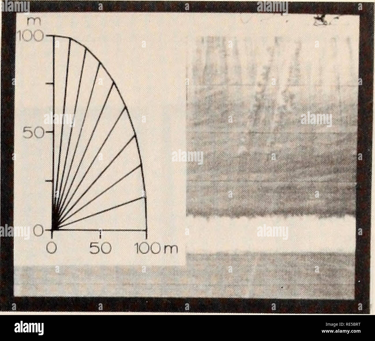 . The Eastern Bering Sea Shelf oceanography and resources / edited by Donald W. Hood and John
