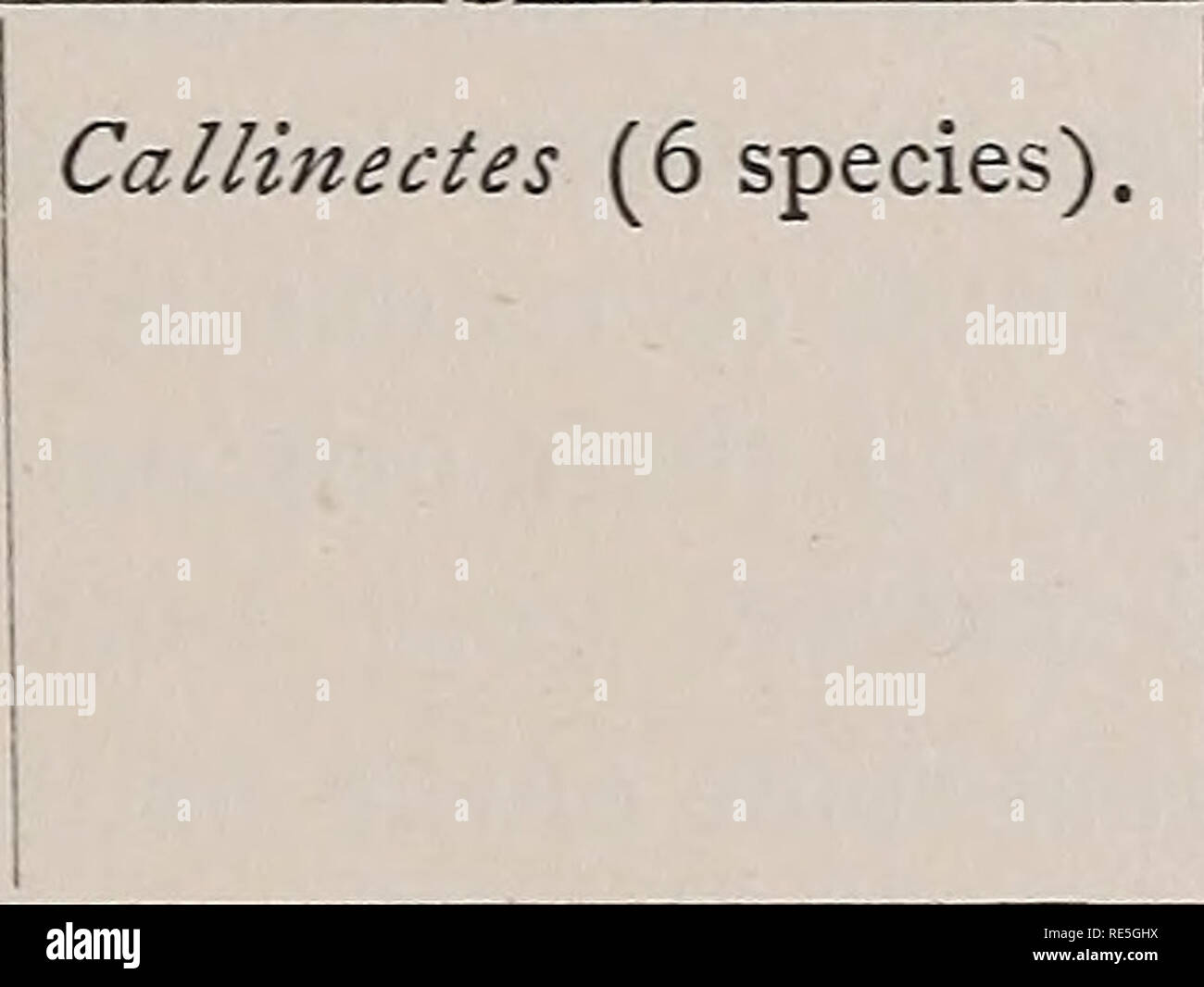 . Crustacea. Miscellaneous. Crustacea. 1002.] AND ANCIENT GEOGRAPHY. 397 The following are taken from Rathbun, U. S. Nat. Mus., Vol. 16, 1893: Pacific Side. Atlantic Side. Remarks. Libinia macdonaldi Rthb. Pelia (2 species). Epialtus bitubercula- TUS. L. spiniraana Rthb. Pelia (2 species). E. BITUBERCULATUS. Other species known from both sides, and possibly from other parts of the world, but these two are especially closely allied. Genus found nowhere else. There are four other species on the Pacific side. The genus is found nowhere else. The following is taken from Rathbun, ibid., Vol. t8, 18 Stock Photo