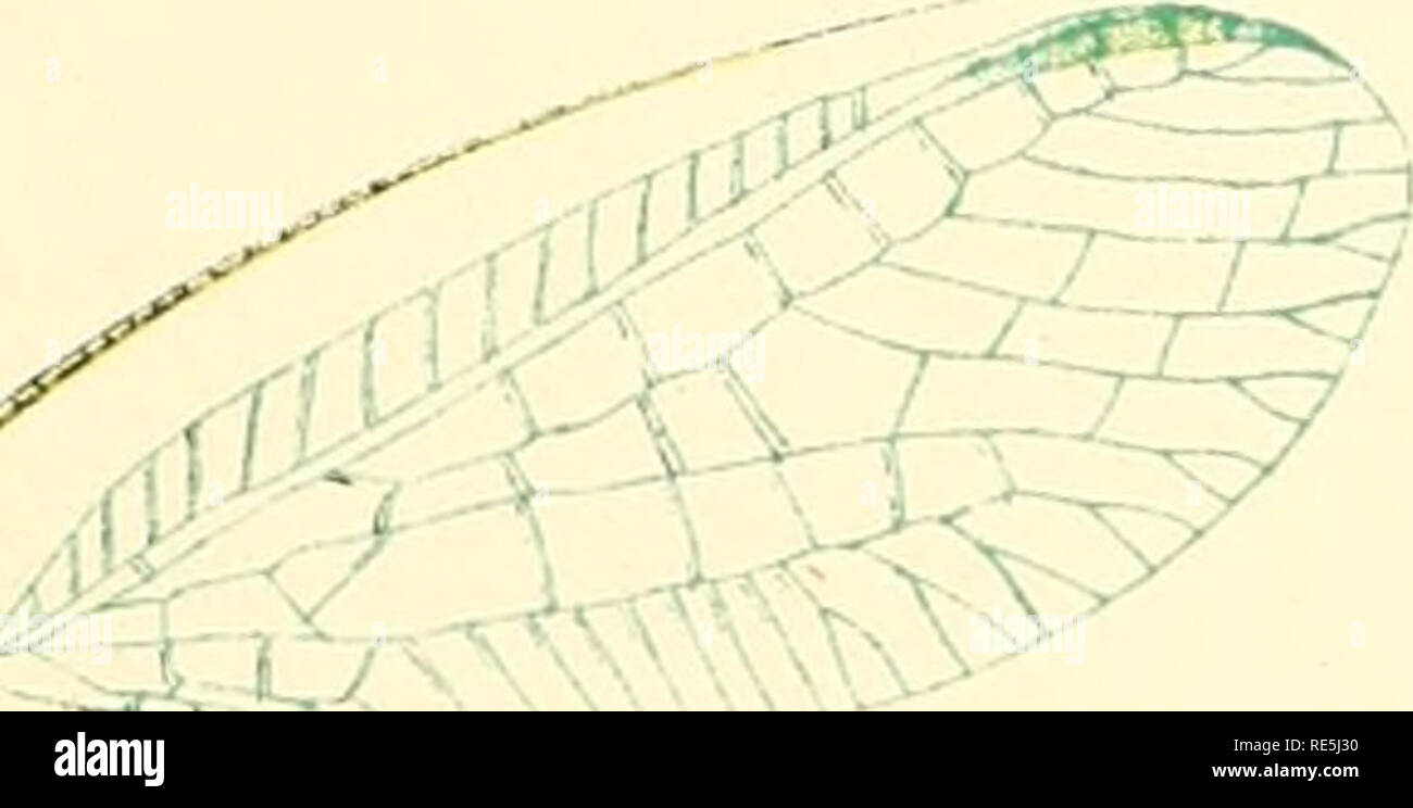 Br V High Resolution Stock Photography And Images Alamy