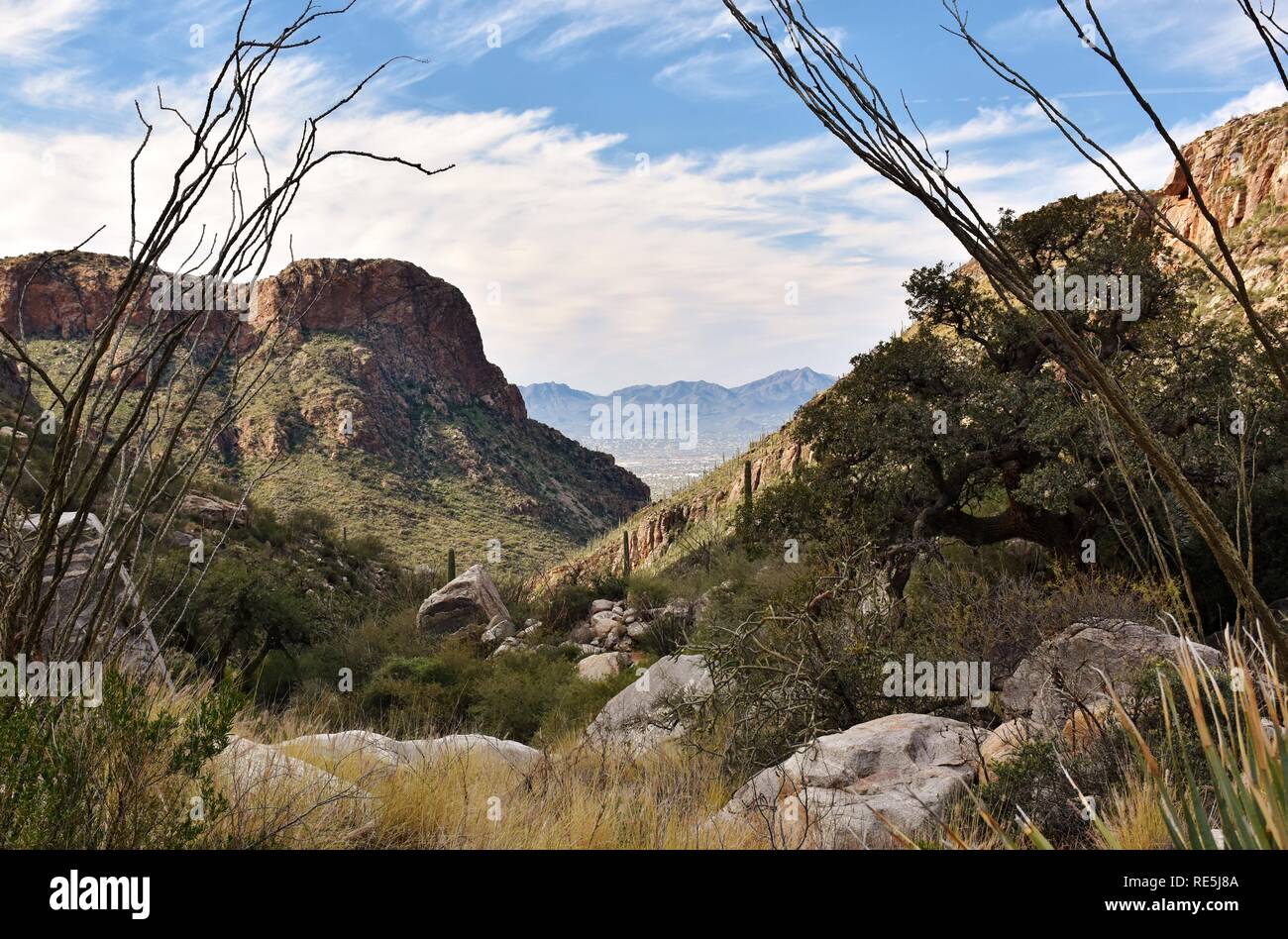 Pima Canyon Trail in Coronado National Forest. The Santa Catalina Mountains can be seen, with Tucson, Arizona in the distance. Stock Photo