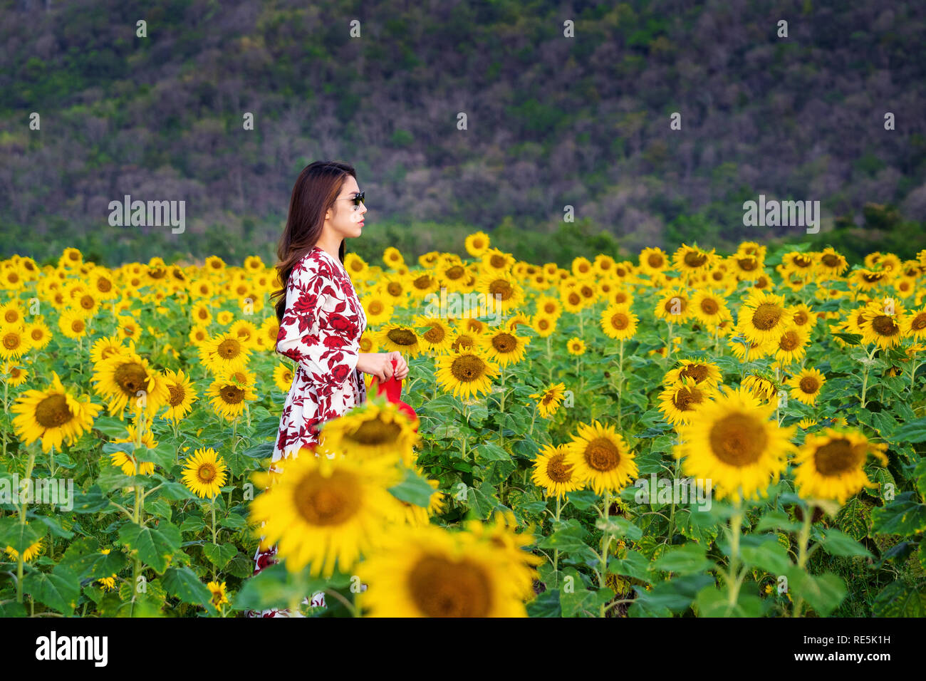 Girl standing in a field of sunflowers hi-res stock photography and ...