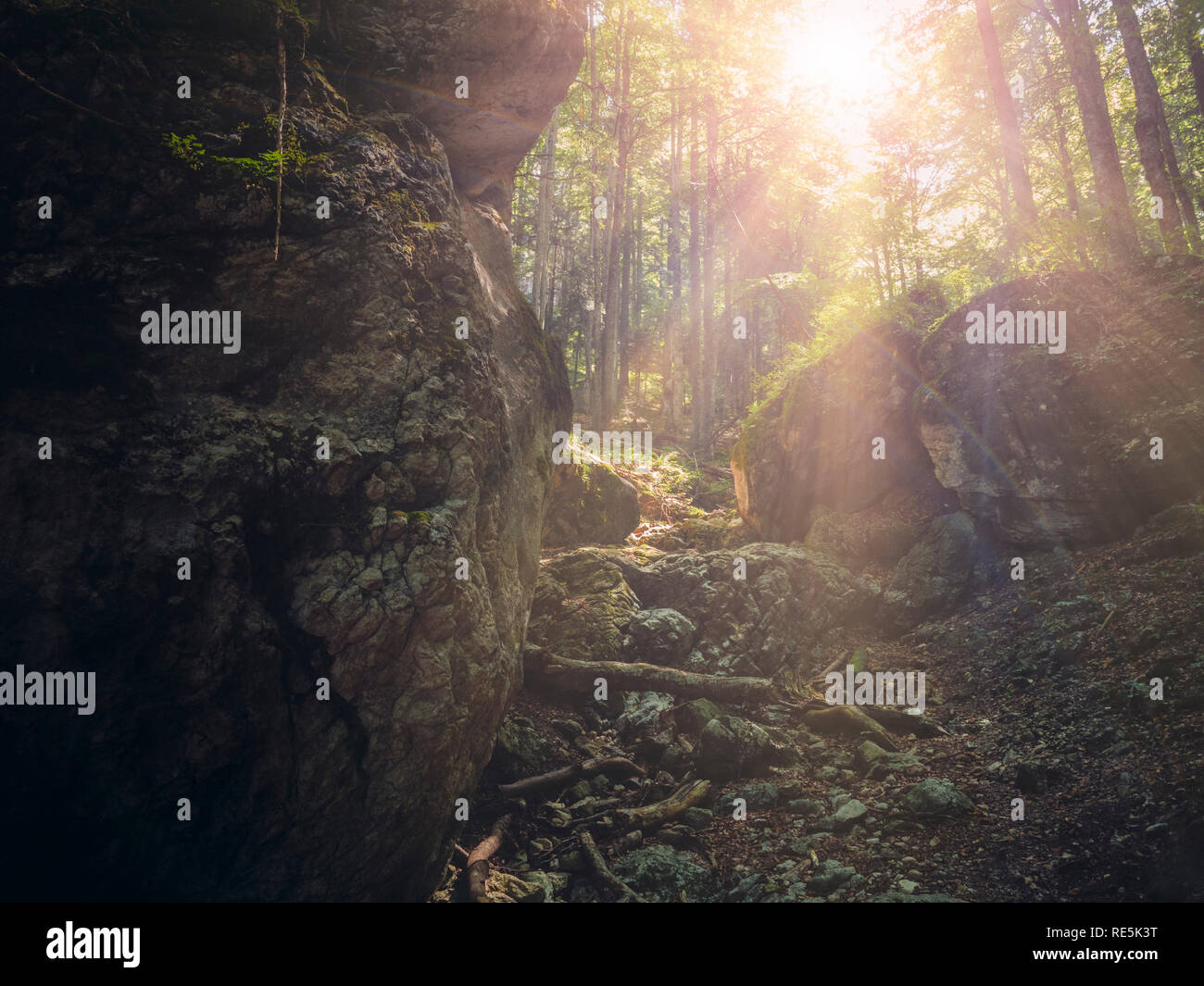 Warm sun rays hi-res stock photography and images - Alamy