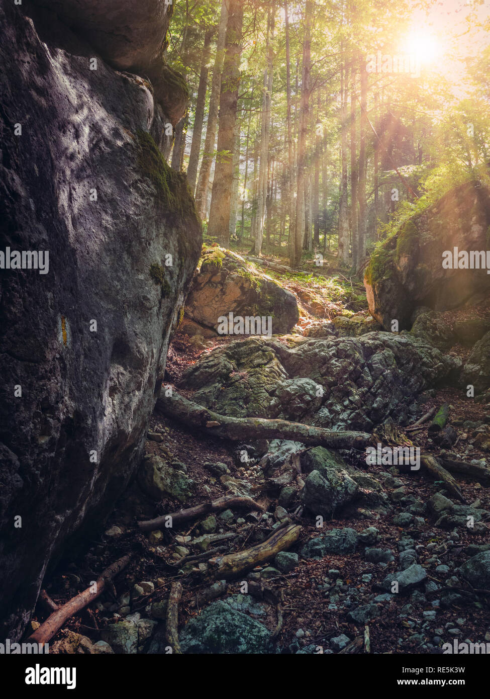 Warm sun rays hi-res stock photography and images - Alamy