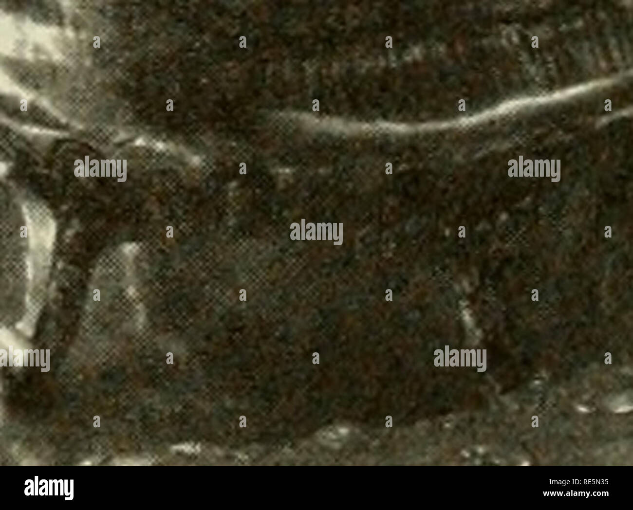 . Cranberries; the national cranberry magazine. Cranberries. 1 cup