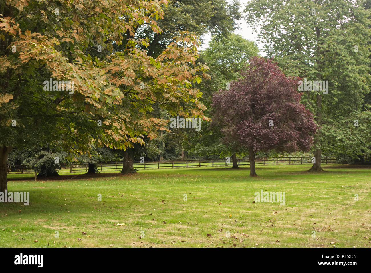 A countryside landscape in summer with wooden barriers Stock Photo